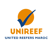 united reefers recrutement