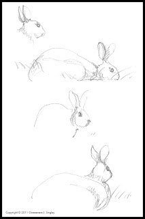 Rabbits