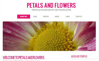 petalsandflowers-freecsstemplates.org