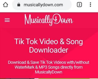 How to Download Tik Tok videos in 3 easy step [2020]