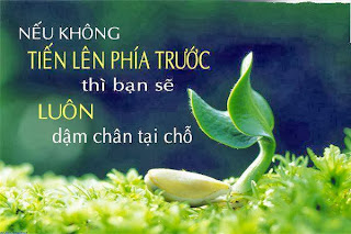 danh ngon hay ve cuoc song