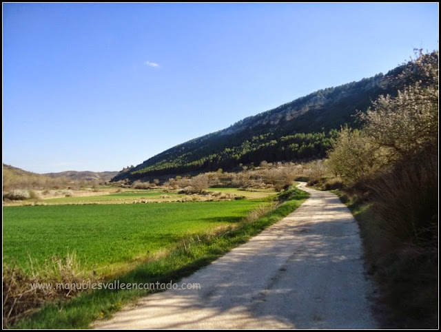 Camino de la vega