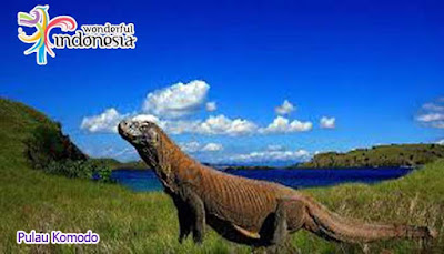 Pulau Komodo