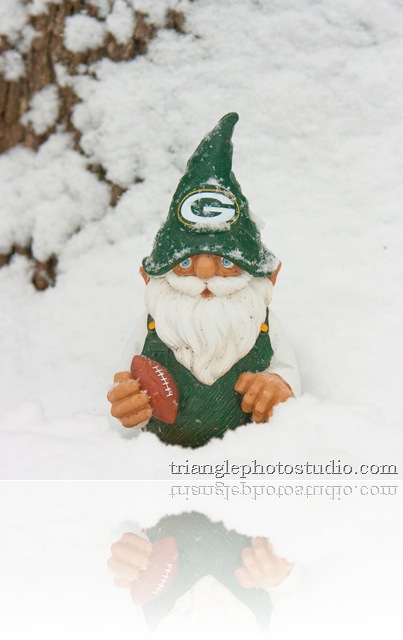 PackerGnome