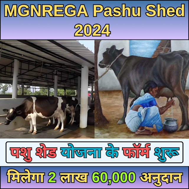 MGNREGA Pashu Shed 2024