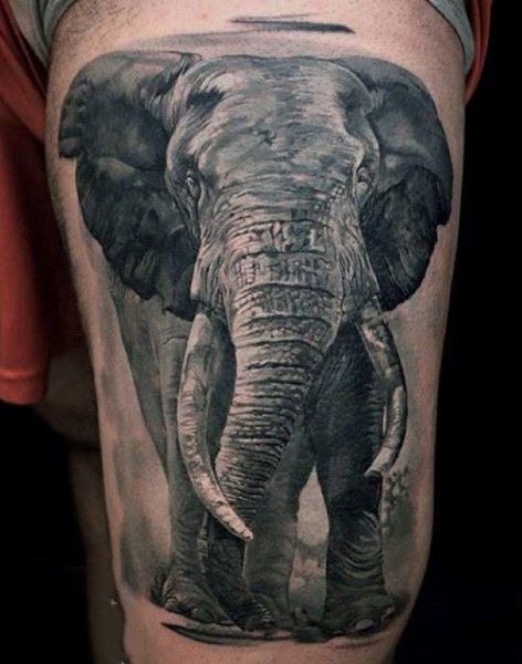 Top 50 ไอเดียรอยสักรูปช้าง Top Beautiful Elephant Tattoo designs