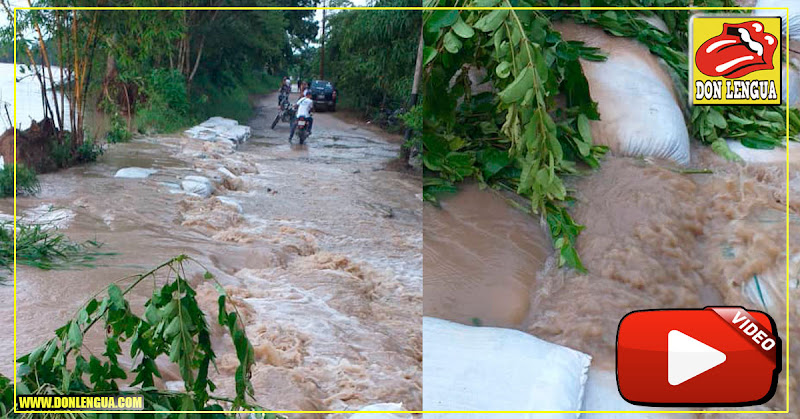 Se desborda el Río Arauca en Apure y amenaza comunidades enteras