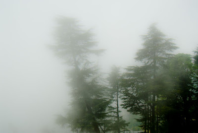 POSTED BY RIPPLE (VJ) on PHOTO JOURNEY : Waterfall near Bhagsu Temple @ Mcleodganj, Dharmshala, Himachal Pradesh: Bhagsu Nag temple is in Bhagsu Village about a km from McCleodganj. The temple is dedicated to Lord Shiva and has great historical significance. About seven streams, like miniature waterfalls flow here and these are considered holy with cleansing properties by devotees. A freshwater spring also flows through the temple and bathing in its waters is considered a spiritual experience in itself. The village of Bhagsu is originally a tribal Gaddi village, but now many Israelis have made it their home offering services and working to support themselves. In fact many of the signs are written in Hebrew and Hebrew is spoken in the streets, making the village a strange combination of Indians and Israelis. The village is a good start-out place for hikes and treks.: Hills, Himachal, Colorful, Dharmshala, Upper Dharmshala, Waterfall, bhagsunag, Triund, Himachal Pradesh: I Love It... Its really a great feeling to be in such an environment where moving clouds cover-up everything...