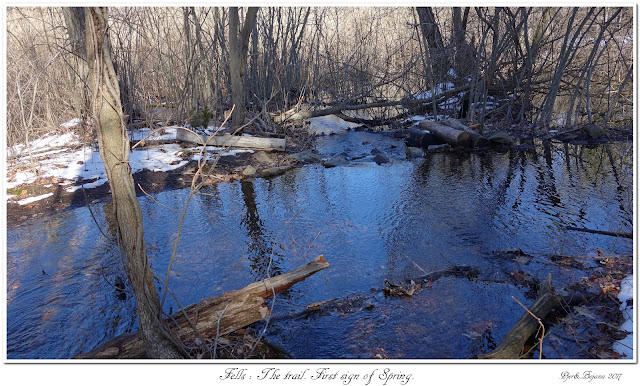 Fells: The trail. First sign of Spring.