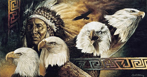 White Wolf Eagle Feathers And The Sacred Meaning To Lakota