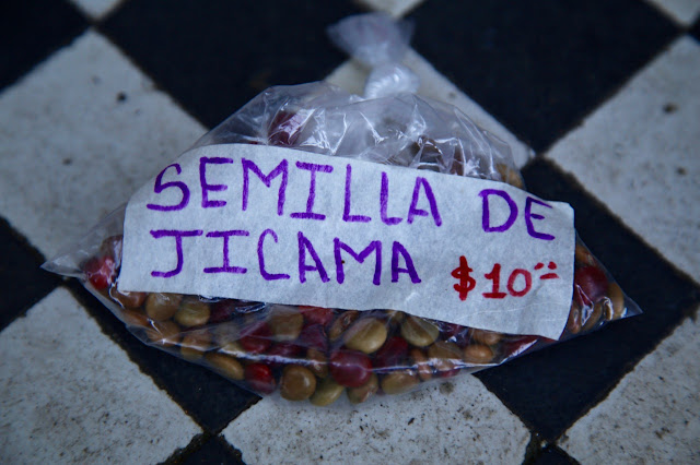 Jicama seeds, valladolid market, yucatan, mexico