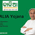 Odisha KALIA Yojana 2024 (କାଳିଆ ଯୋଜନା) | कालिया योजना ऑनलाइन आवेदन, पात्रता और लाभ