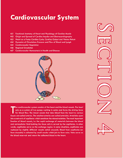 Important topics in physiology for mbbs exams :Cardiovascular system