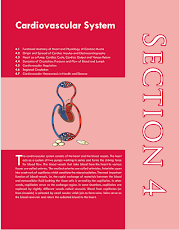 Important topics in physiology for mbbs exams :Cardiovascular system