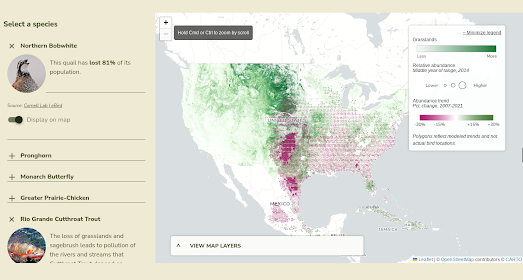 map of the USA showing the loss of range of the Northern Bobwhite quail superimposed on a map showing grassland loss