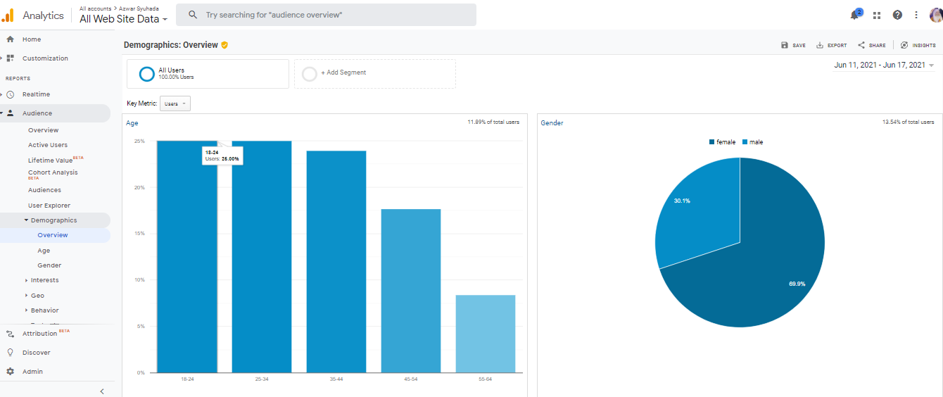 Cara Ketahui Lebih Lanjut  Data Google Analytics Bekerja Untuk Blogger