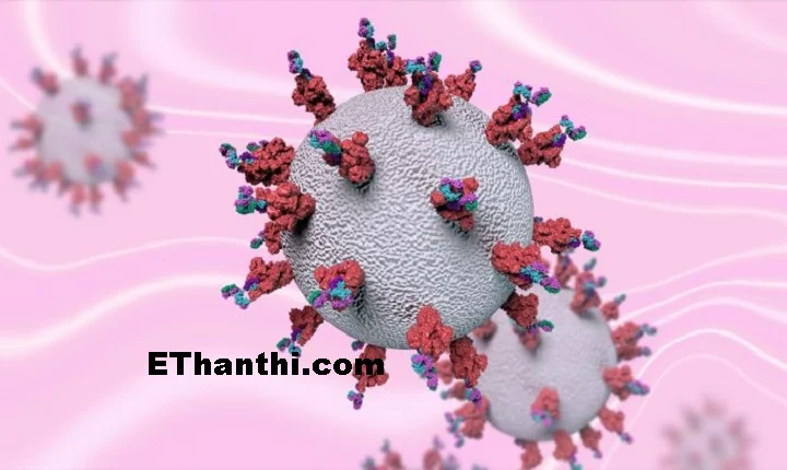 ஆன்டிபாடி’கள் (antibodies) உருவாகும்?