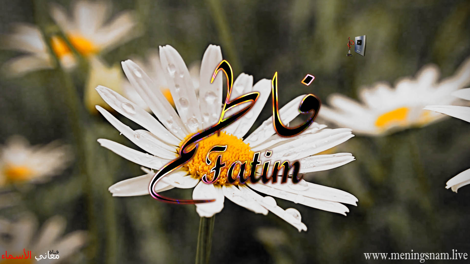 معنى اسم, فاطم, وصفات حاملة, هذا الاسم, Fatim,