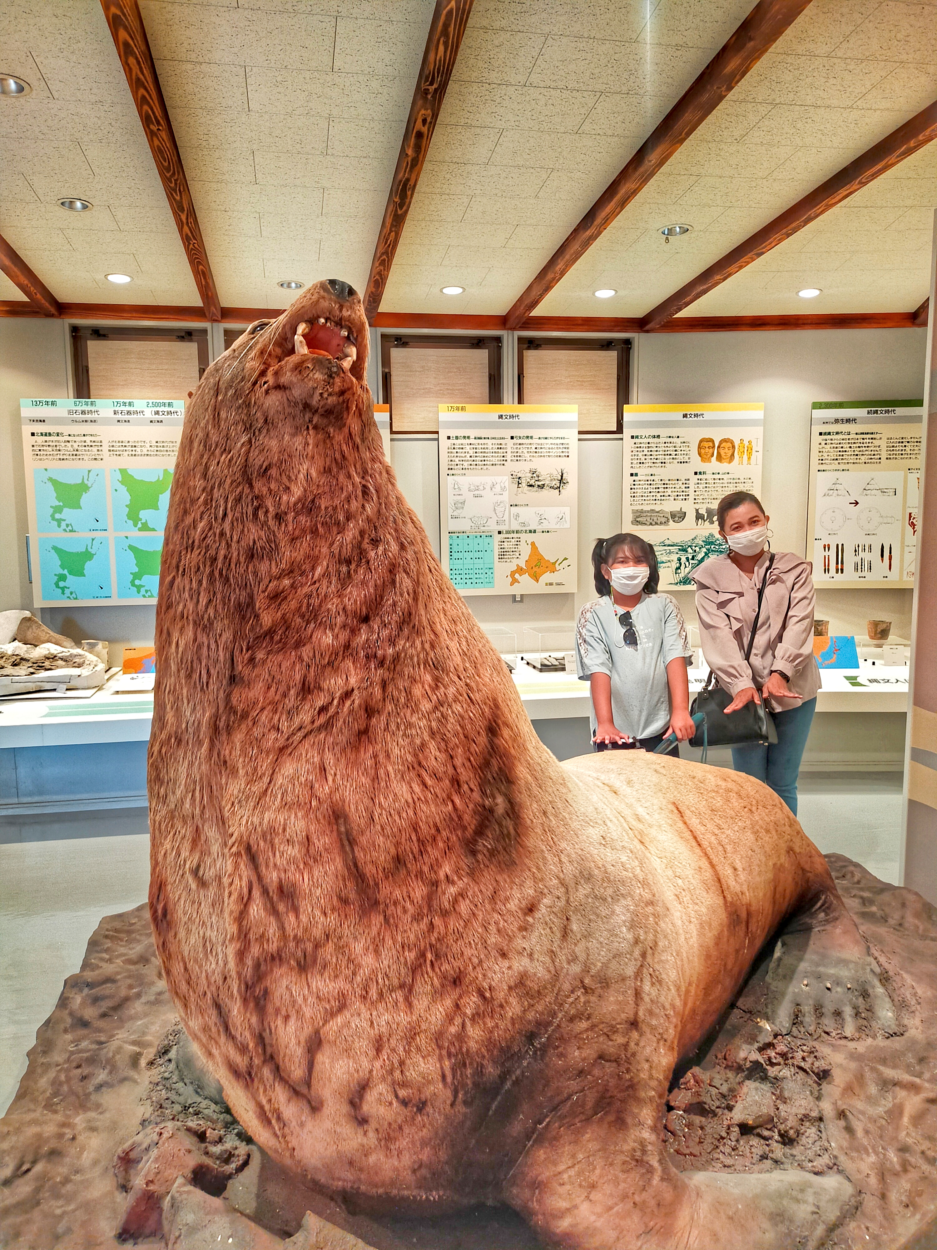 Tomamae Local Museum