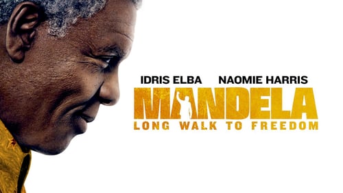 Mandela : Un long chemin vers la liberté 2013 avi