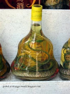 Snake Wine