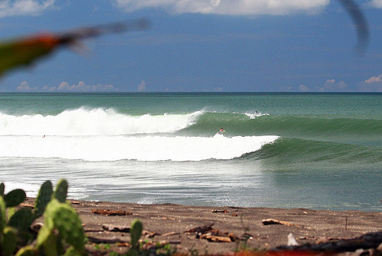 surfing playgrounds nicaragua