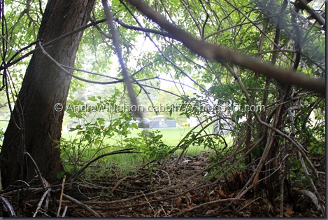 IMG_4035 - Copy