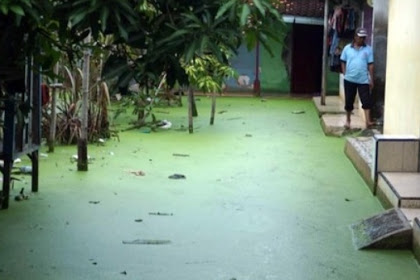 Heboh air banjir di Pekalongan berwarna hijau,kok bisa ?