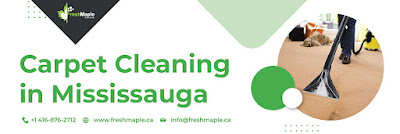Carpet%20Cleaning%20in%20Mississauga%203.jpg