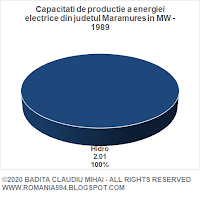 Surse de generare a energiei electrice din judetul Maramures in MW in anul 1989