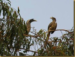 IMG_0173