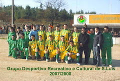 G.D.R.C.S.LUIZ - 2008
