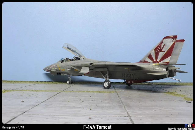 F-14A Tomcat VF111 "Sundowners"'Hasegawa au 1/48.