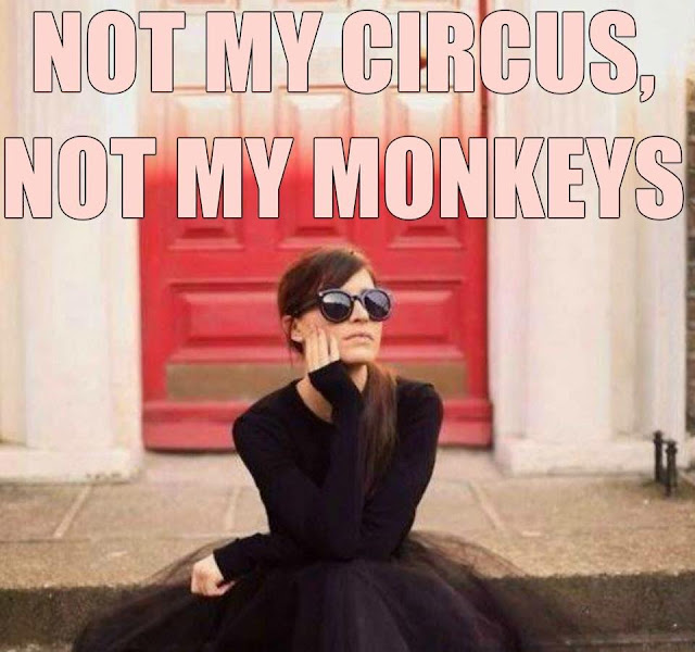 Not My Circus, Not My Monkeys 