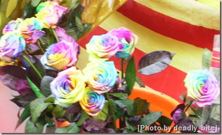 "Rainbow Roses"; D.B.; Barcelona, 23/04/08