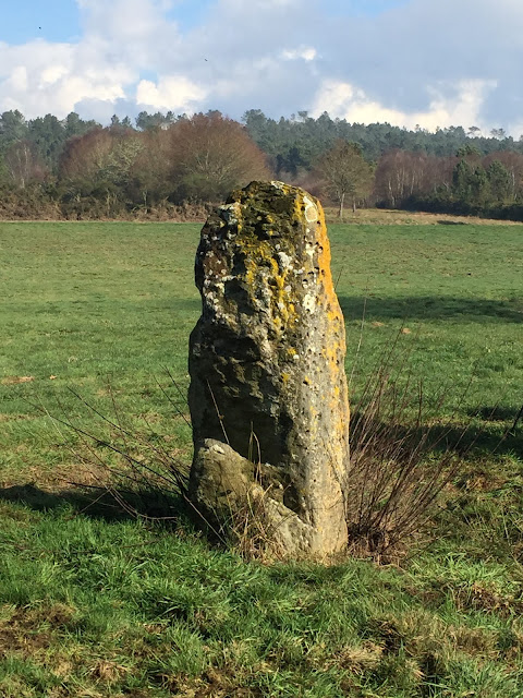 Megalithican Iberia: Menhir of Pedra Chantada / Menhir de Pedra Chantada en Santaballa (Vilalba, Lugo) by E.V.Pita (2017)  http://archeopolis.blogspot.com/2017/01/megalithican-iberia-menhir-of-pedra.html