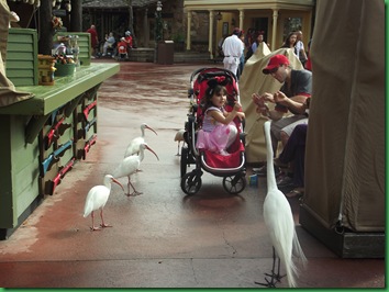 Disney Day 2 087