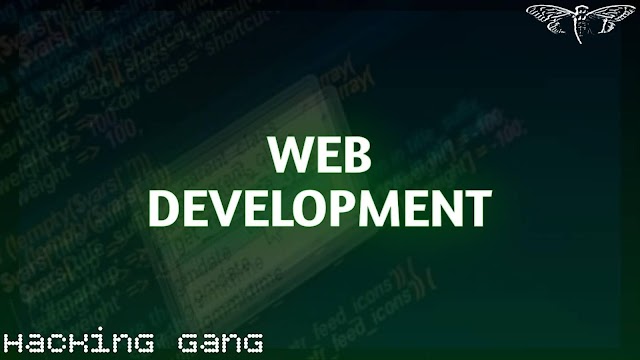 كل ما يجب معرفته عن ال Web Development