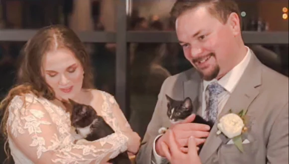 2 kittens adopted and rehomed at a wedding