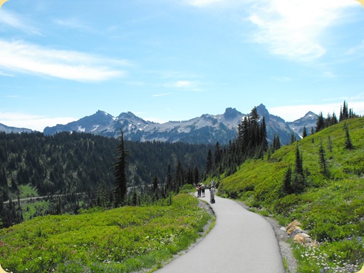 Mt. Rainier 182
