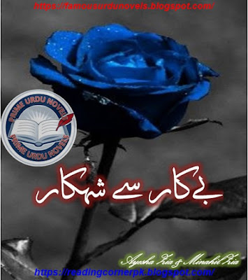 Be kar se shahkar novel pdf by Ayesha Zia & Minahil Zia Complete