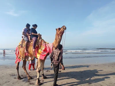 Camel ride on Karde beach