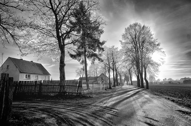 bory tucholskie, grudzień, zima, Lotyń