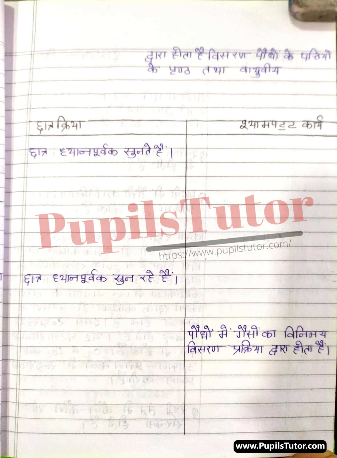 Biology Lesson Plan In Hindi On Podho Me Swasan For Class/Grade 6th To 12 For CBSE NCERT School And College Teachers | CBSE NCERT Class 6th To 12 Ke Liye Mega School Teaching Koshal Ki Jeev Vigyan Path Yojana Podho Me Swasan Par | सीबीएसई एनसीईआरटी कक्षा 6 से 12 के स्कूल शिक्षकों और कॉलेज के अध्यापको के लिए पौधों में श्‍वसन पर हिंदी में जीवविज्ञान पाठ योजना – (Page And Image Number 3) – www.pupilstutor.com