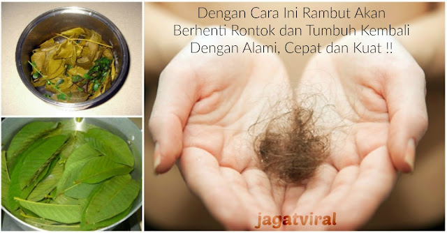 Luar Biasa & Sangat Ajaib, Dengan Cara Ini Rambut Akan Berhenti Rontok dan Tumbuh Kembali Dengan Alami, Cepat dan Kuat !! 