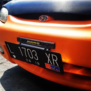 ADJUSTABLE NUMBER PLATE