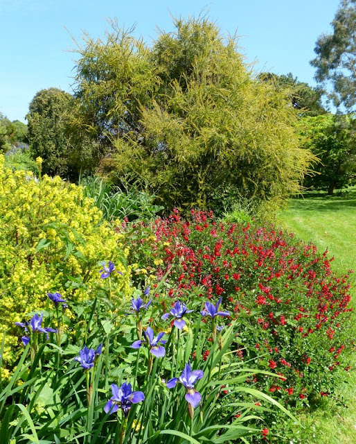 Summer mixed border at Ventnor Botanic Gardens