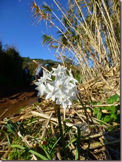 P1140187