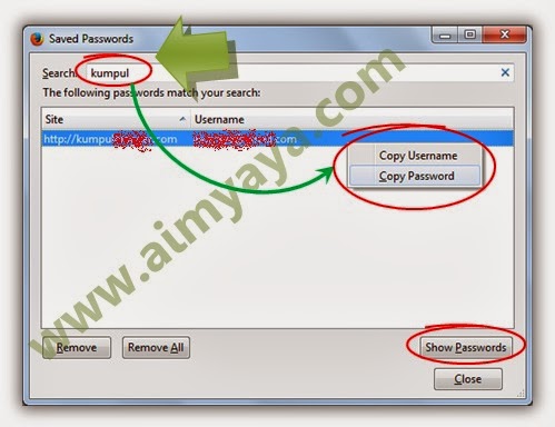  Lantas bagaimana cara melihat password facebook Cara Melihat Password di Mozilla Firefox