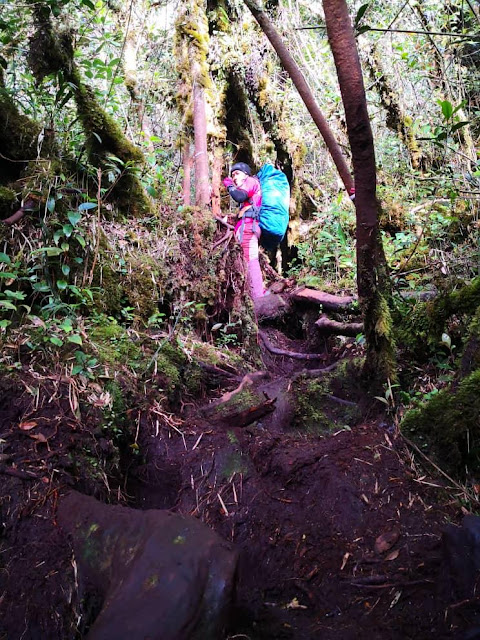 Gunung Yong Yap